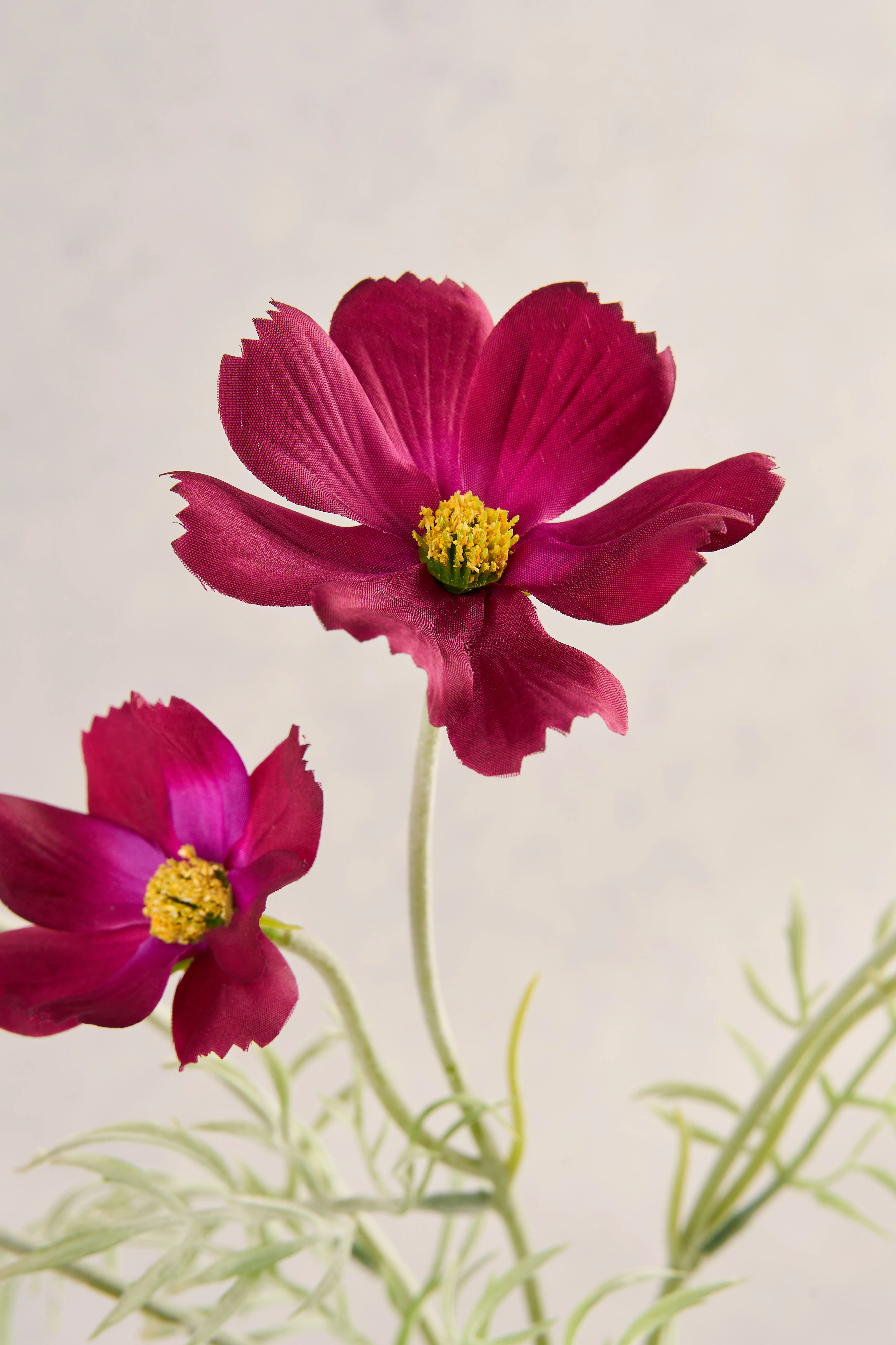 Cosmos Vase - Image 2