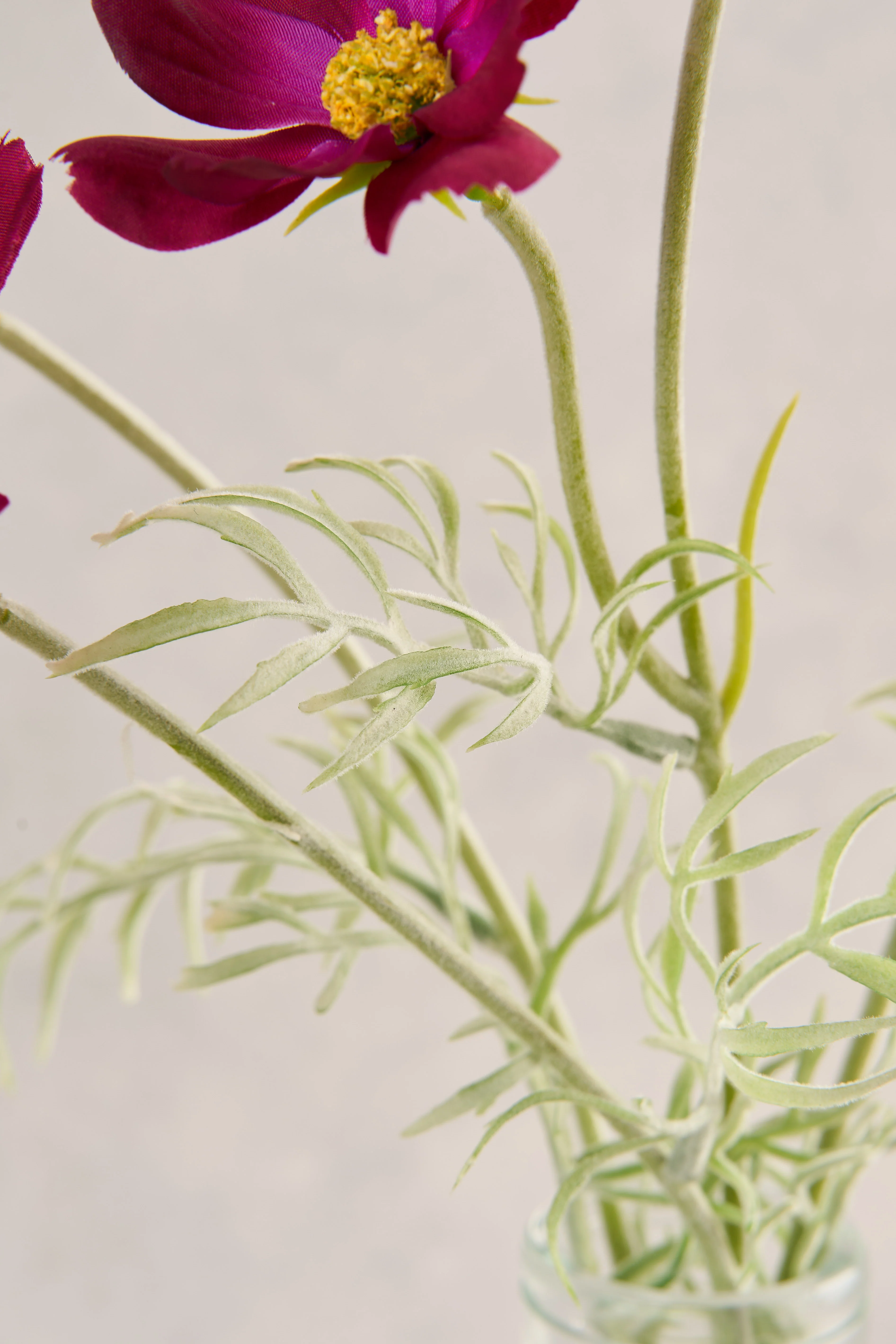 Cosmos Vase - Image 3