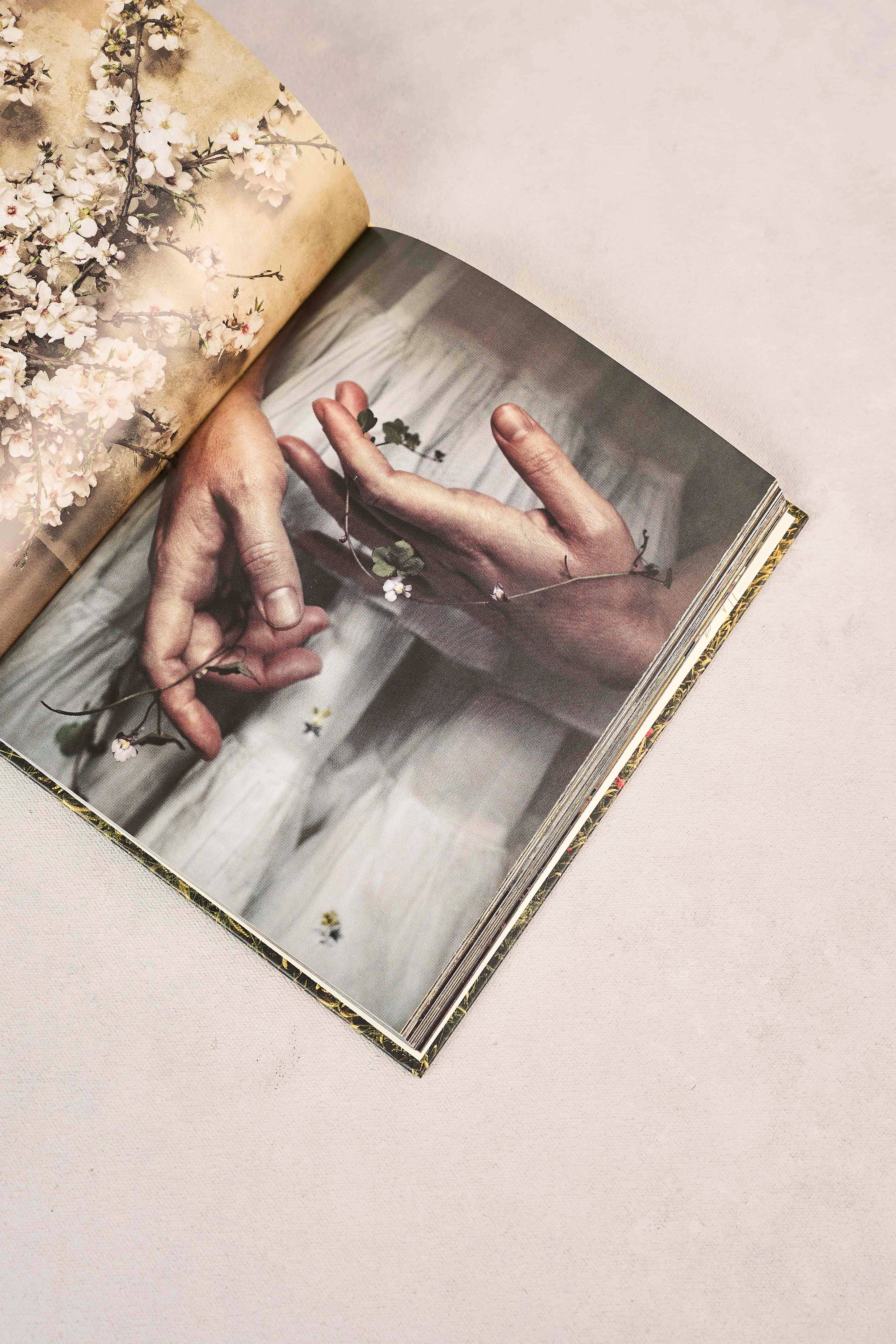 The Flowers of Provence Book - Image 5